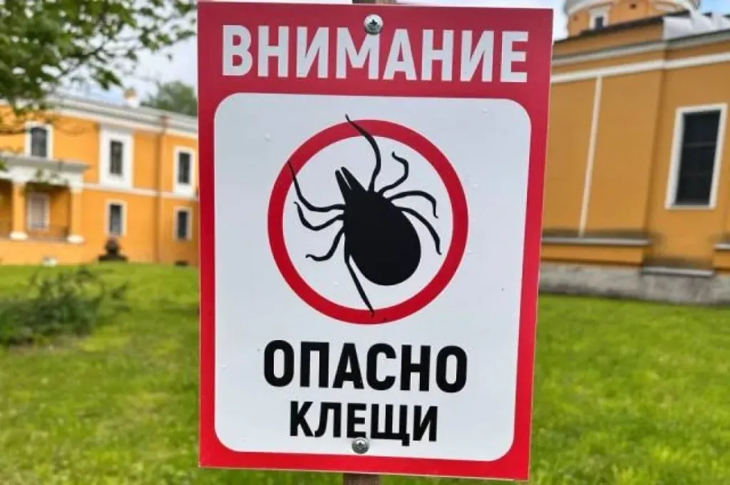 В Томской области зафиксировали летальный случай от клещевого энцефалита