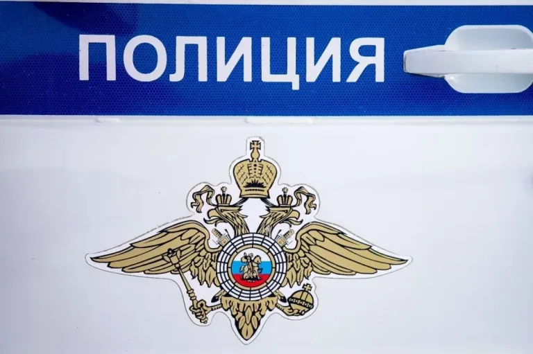 В Томске задержали мужчину с украденными автозапчастями на 200 тысяч