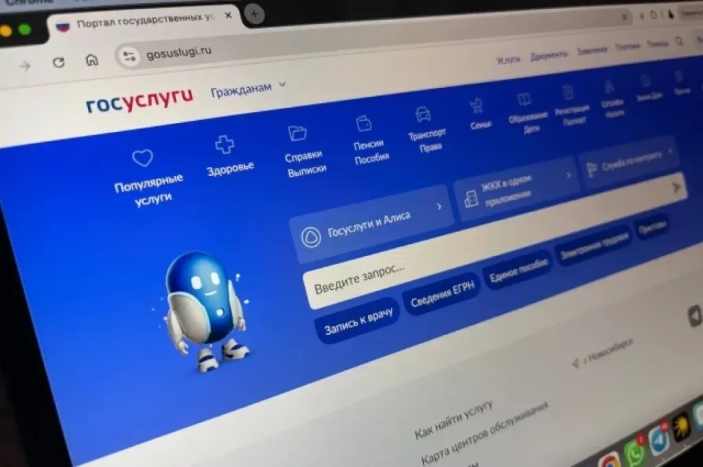 Томича будут судить за кражу и продажу аккаунтов на «Госуслугах»