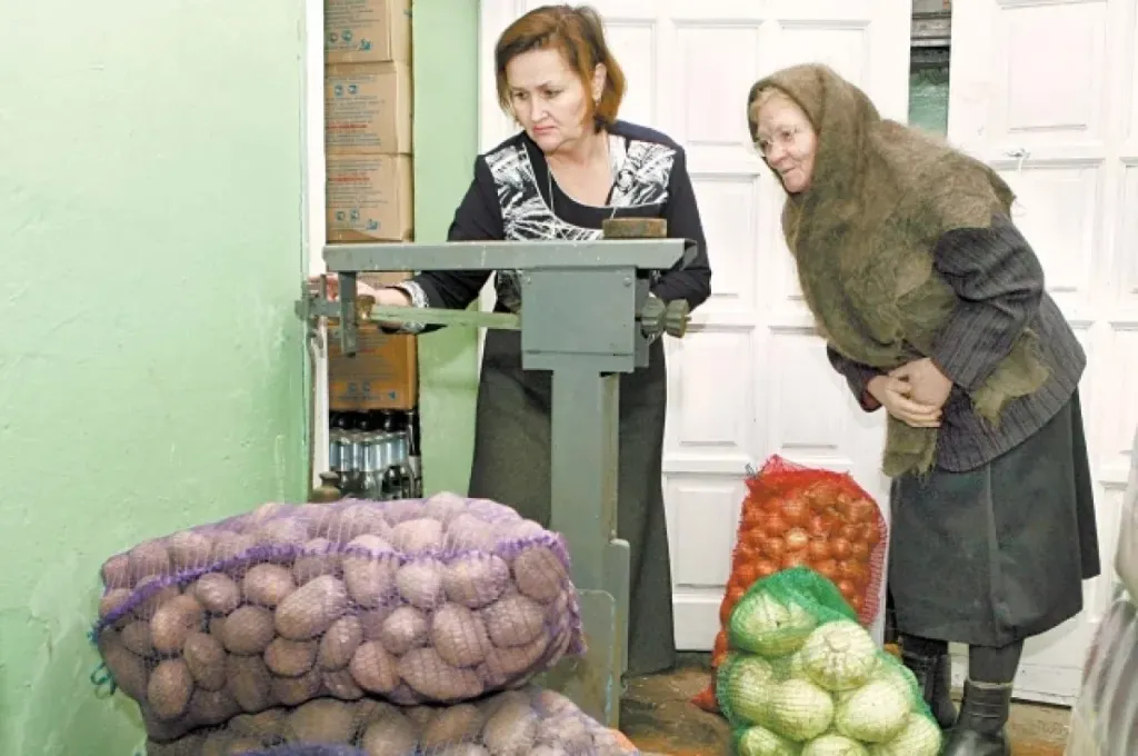 Аграрии Томской области собрали 95,6% урожая капусты