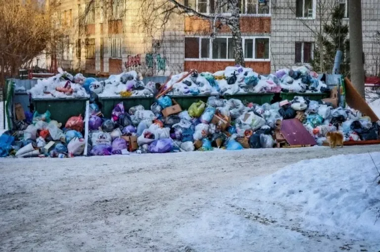 В Томске установят камеры на проблемных мусорных площадках