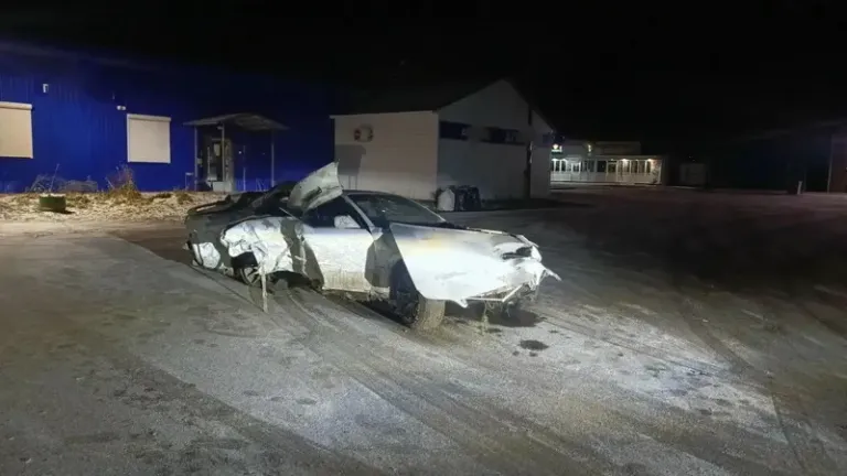 В Кожевниково Toyota врезалась в дерево, пострадали четыре человека
