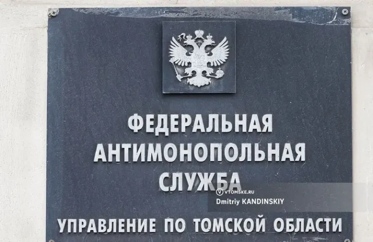 ФАС раскрыла сговор на аукционах по клинингу на 6,6 млн рублей